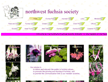 Tablet Screenshot of nwfuchsiasociety.com